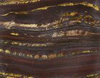 Tiger Iron Stromatolite Shower Tile - Billion Years Old #48805-1